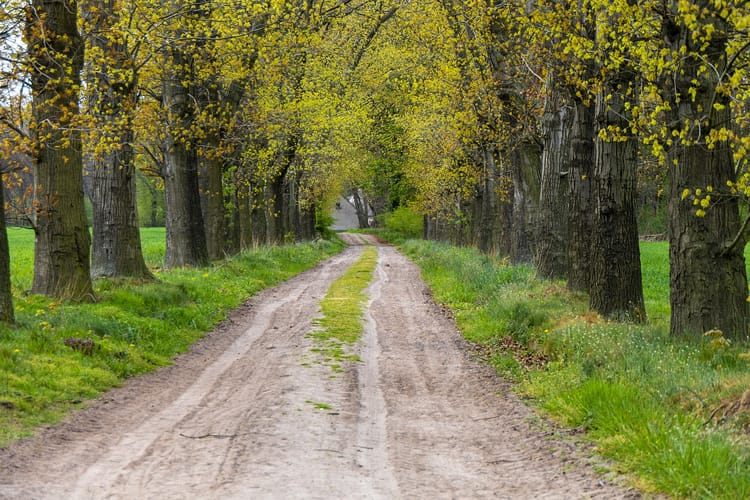 April: Mud Season