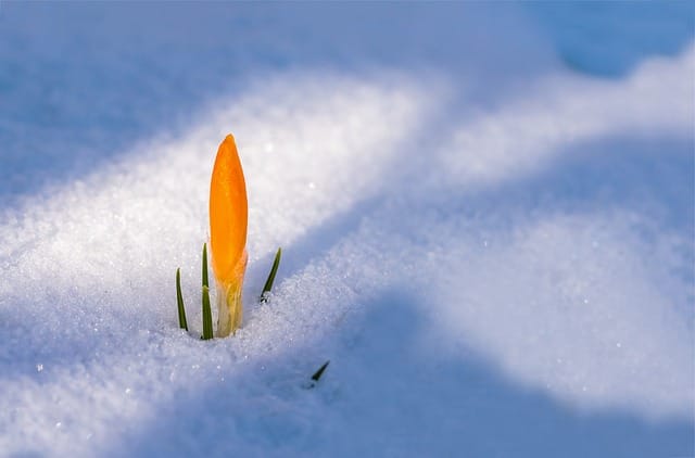 February: Signs