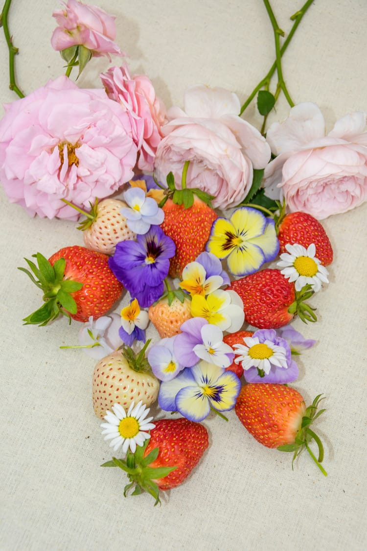 May: Sweet